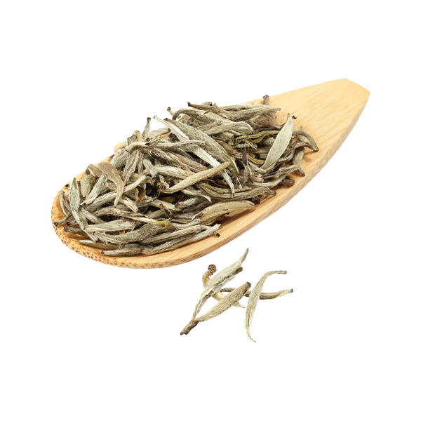 Silver Needle White Tea
